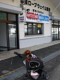 20121105_02.jpg