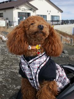 20121105_06.jpg