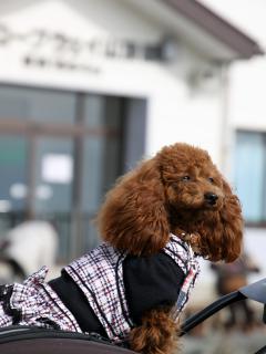 20121105_07.jpg