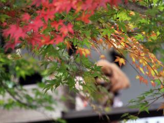 20121105_09.jpg
