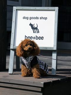 20121105_14.jpg