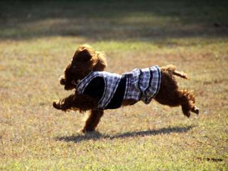 20121105_15.jpg