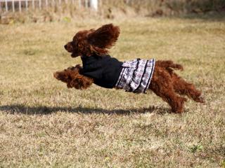 20121105_16.jpg