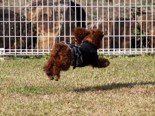 20121105_17.jpg