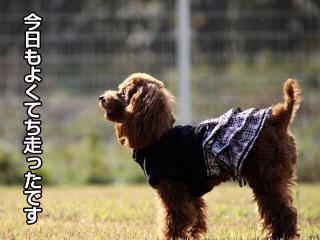 20121105_18.jpg