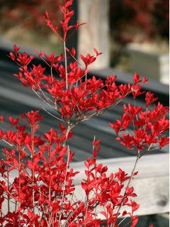 20121105_20.jpg