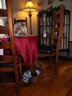 20121105_21.jpg