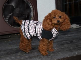 20121105_26.jpg