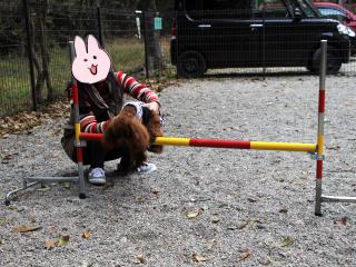 20121105_27.jpg