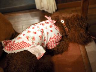 20121105_34.jpg