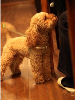 20121105_39.jpg