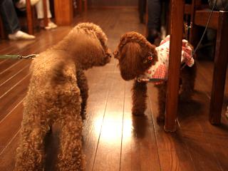 20121105_40.jpg
