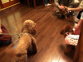 20121105_41.jpg
