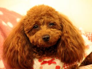 20121105_42.jpg