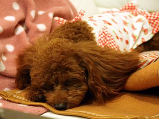 20121105_43.jpg