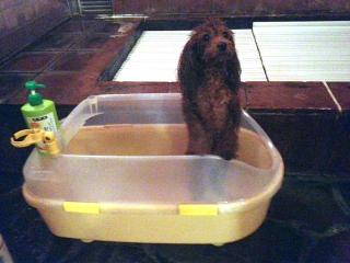 20121105_44.jpg