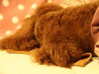20121105_60.jpg