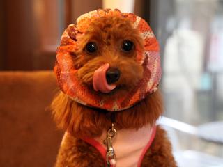20121106_04.jpg