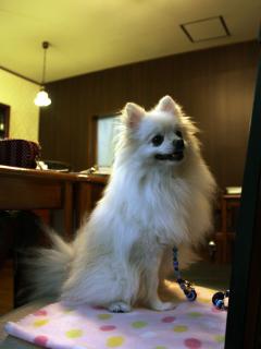20121106_07.jpg