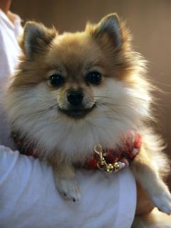20121106_08.jpg