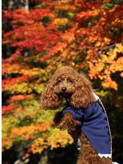 20121114_01.jpg