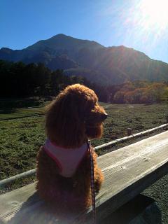 20121116_01.jpg