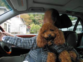 20121124_02.jpg