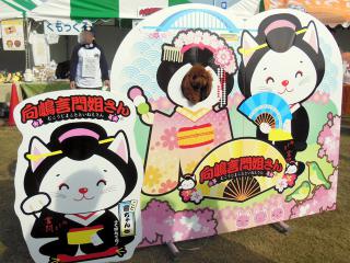 20121124_24.jpg