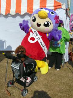 20121124_47.jpg