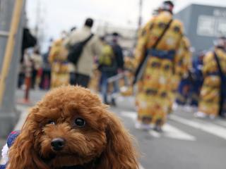 20121201_04.jpg