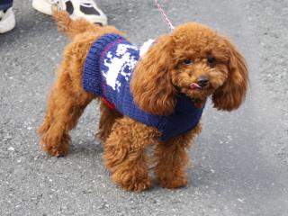 20121201_11.jpg