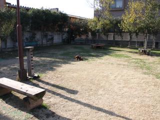 20121207_01.jpg