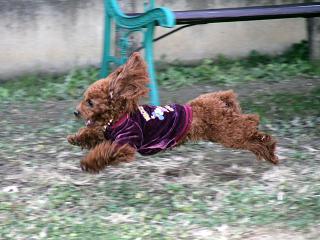 20121207_02.jpg