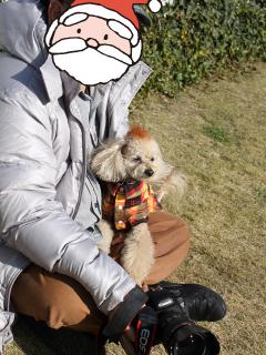 20121207_03.jpg