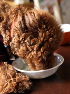 20121207_05.jpg