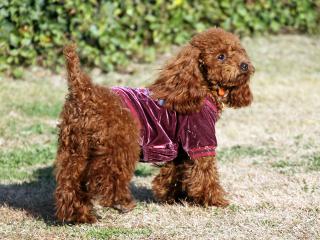 20121207_10.jpg