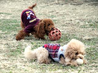 20121207_11.jpg