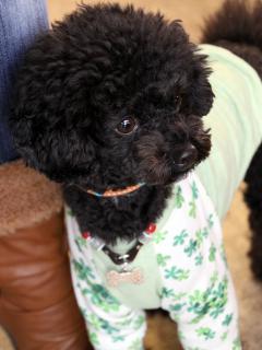 20121207_17.jpg
