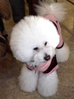 20121207_18.jpg