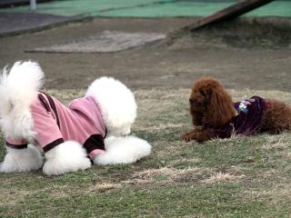 20121207_20.jpg