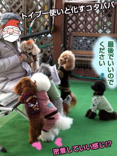 20121207_22.jpg