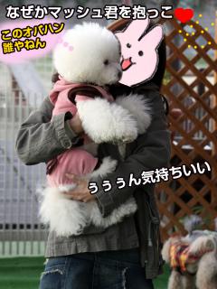 20121207_26.jpg