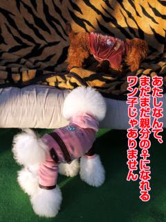 20121207_27.jpg