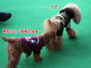 20121207_28.jpg