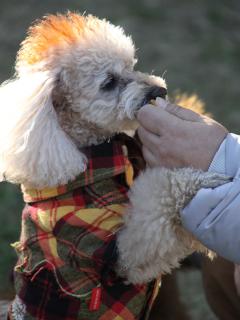 20121207_30.jpg