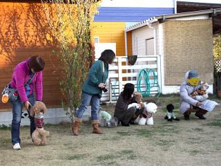 20121207_21.jpg