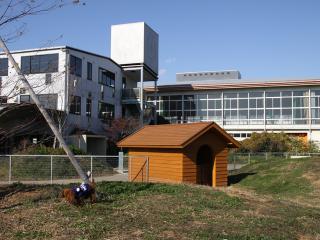 20121208_01.jpg
