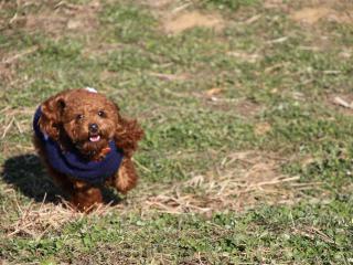 20121208_05.jpg