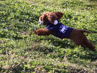 20121208_06.jpg