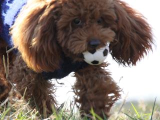 20121208_07.jpg